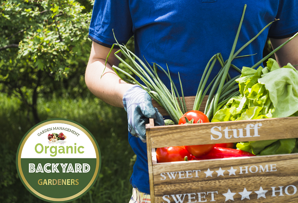 ORGANIC BACKYARD GARDENER